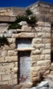 Ball's vault